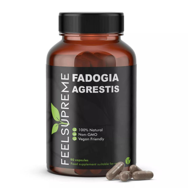 Feel Supreme Fadogia Agrestis 90Veg Caps - Testosterone Boosters at MySupplementShop by Feel Supreme