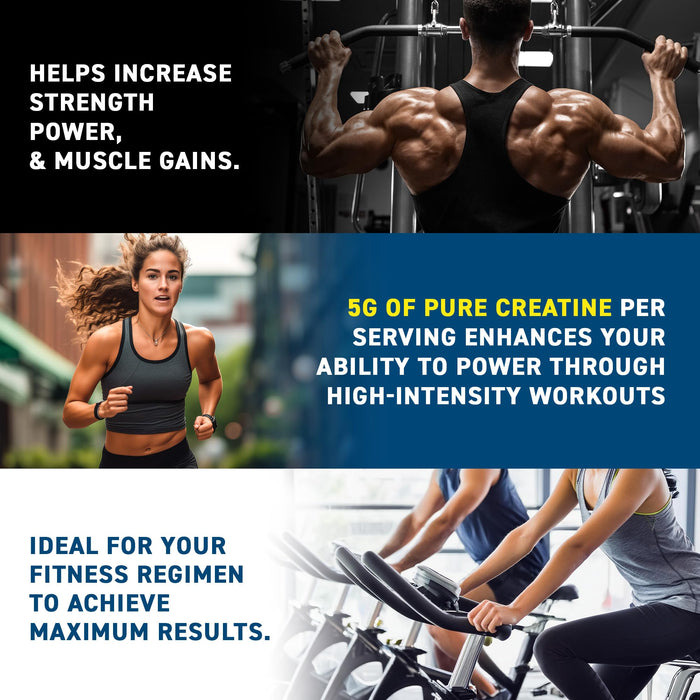 Applied Nutrition Creatine Monohydrate Micronized - 500g