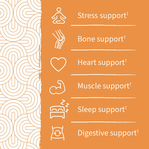 Garden of Life Dr. Formulated Magnesium with Pre & Probiotics Gummies, Peach - 60 gummies - Magnesium at MySupplementShop by Garden of Life