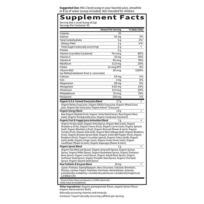 Garden of Life Raw Organic Perfect Food Energizer, Yerba Mate & Pomegranate - 276g - Health and Wellbeing at MySupplementShop by Garden of Life