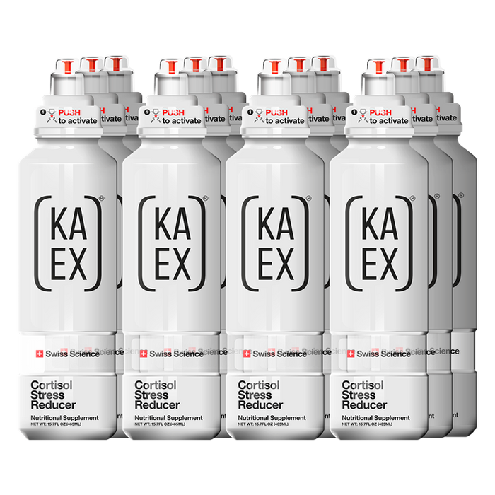 KA-EX GO 12x460ml