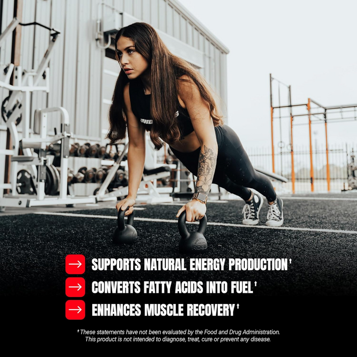 Pro Supps L-Carnitine 3000, Dragon Fruit 473ml