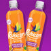Rubicon Spring 12 x 500ml