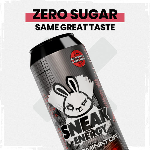 SNEAK Energy 12x500ml