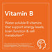 NOW Foods Vitamin B-50 mg 100 Veg Capsules | Premium Supplements at MYSUPPLEMENTSHOP