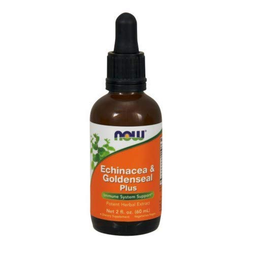 NOW Foods Echinacea & Goldenseal Plus - 60 ml. | High-Quality Baking Supplies | MySupplementShop.co.uk