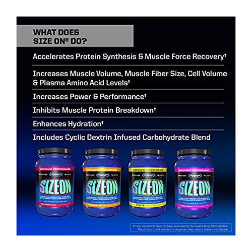 Gaspari Nutrition SizeOn Max Performance 1.5kg Lemon Ice | High-Quality Creatine Supplements | MySupplementShop.co.uk