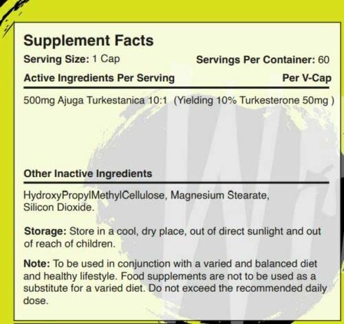 Warrior Turkesterone  60 caps - Special Formula at MySupplementShop by Warrior Supplements